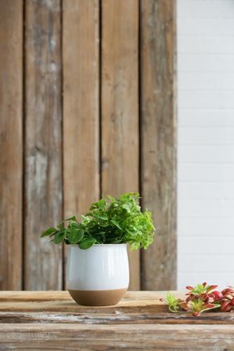 Flower Ceramic Vase - 165 X 165 X 155