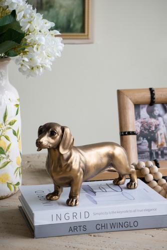 Gold Dog