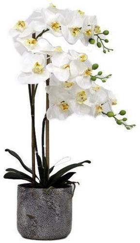 Real Touch Orchid 2 Spray White with Stone Pot - 635mm High