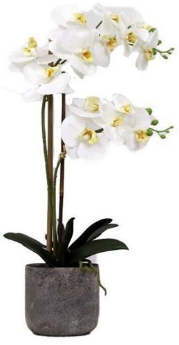 Real Touch Orchid 2 Spray White with Stone Pot - 560mm High