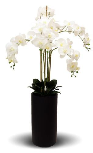 Real Touch Orchid 5 Spray White with Tall Black Pot - 1350mm High