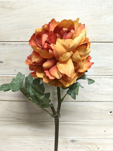 Artificial Single Peony (Burnt Orange)