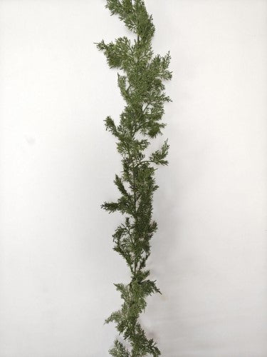 Artificial Soft Cedar Fern Garland (180cm)
