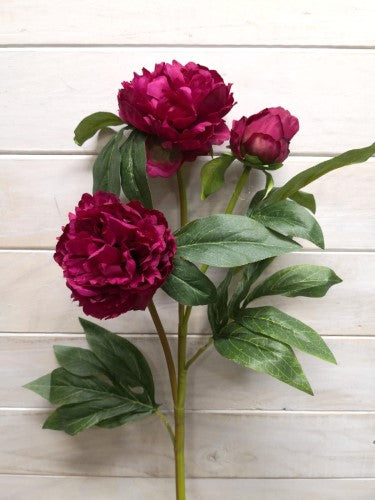 Artificial Peony Spray X 2 - Large (Beauty)
