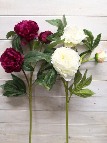 Artificial Peony Spray X 2 - Large (Beauty)