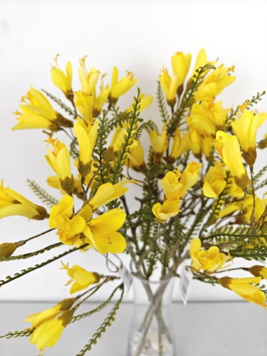 Artifical Cut Stem Kowhai Flower (40cm)