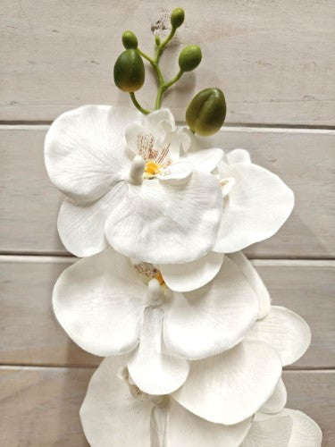Artificial Phalaenopsis Orchid Spray (White)