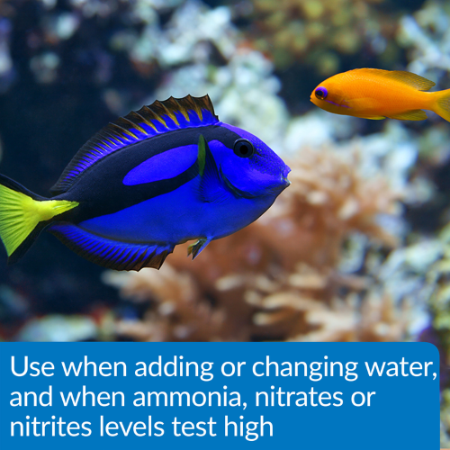 Aquarium Water Conditioner- API Aqua Essential 1.89L