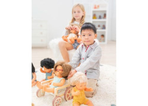 Miniland - Wheelchair for dolls