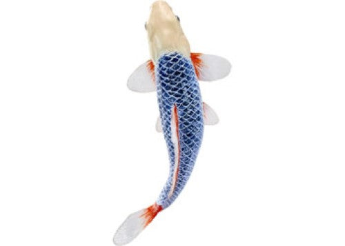 Mojo - Koi Carp - Asagi Koi (blue red) 2025