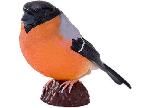 Mojo - Bullfinch 2025