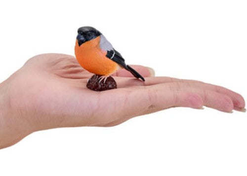 Mojo - Bullfinch 2025