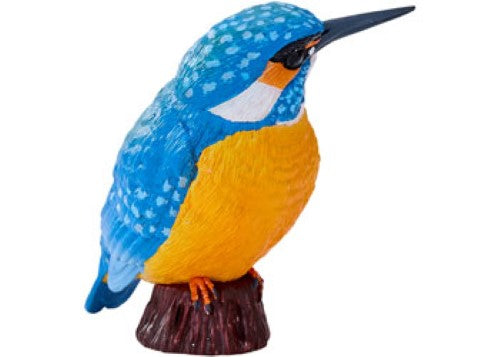 Mojo - Kingfisher 2025