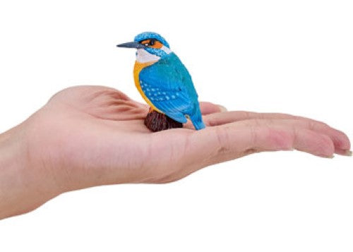 Mojo - Kingfisher 2025