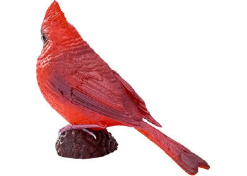Mojo - Red Cardinal 2025