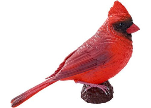 Mojo - Red Cardinal 2025