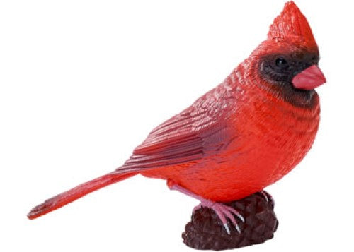 Mojo - Red Cardinal 2025