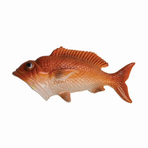 Bottle Opener - Snapper Fish (14 x 6 x 4.7cm)