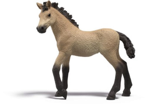 Schleich - Collectible Foal Delilah