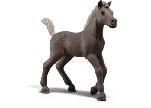 Schleich - Collectible Foal Darcy