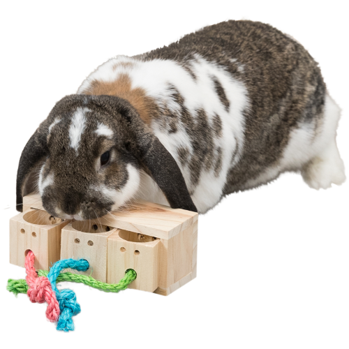 Small Animal Toy - Wooden Snack Activity Cube (5 x 5 x 6cm)