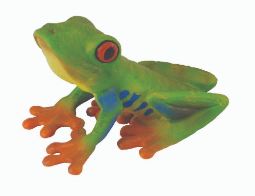 Medium Red-Eyed Tree Frog figurine by CollectA, showcasing vibrant colors and realistic details for nature lovers.