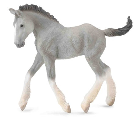 Medium grey Shire horse foal figurine from CollectA, showcasing fine details and gentle strength, perfect for collectors.