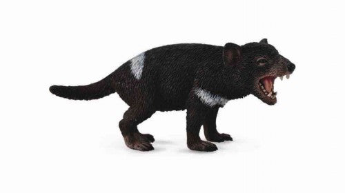 Tasmanian Devil Figurine Medium - CollectA