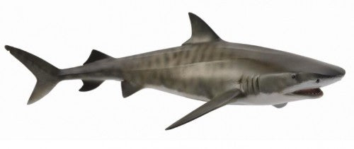 Tiger Shark Figurine Large - CollectA