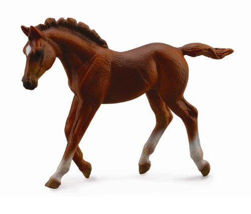 Thoroughbred Foal Walking Chestnut Figurine Medium - CollectA