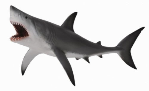 XL Great White Shark figurine by CollectA, measuring 20.4cm, showcasing realistic details for collectors and education.