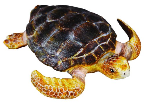 Loggerhead Turtle Figurine - Medium - Collecta