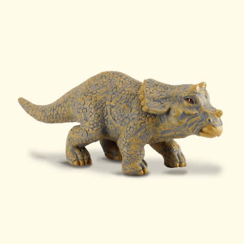 Small Triceratops baby figurine with three horns, perfect for play, education, and dinosaur collections, measuring 8.5cm x 3.5cm.