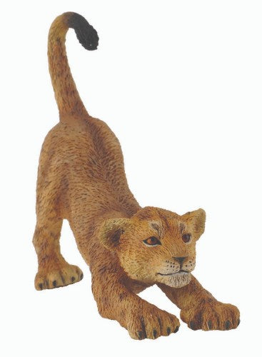 Small lion cub figurine by Collecta in a playful stretching pose, perfect for collectors and educational displays.