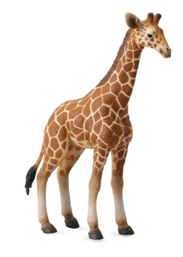 Large Reticulated Giraffe Calf figurine by Collecta, showcasing intricate patterns and lifelike detail for wildlife collectors.