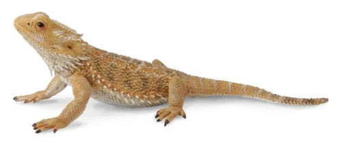 Bearded Dragon Lizard Figurine - Large - Collecta