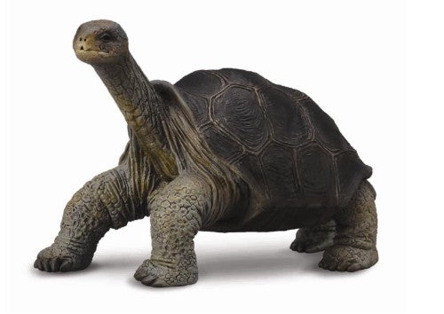 Medium Collecta Pinta Island Tortoise figurine, honoring Lonesome George, detailed and perfect for collectors and conservation efforts.