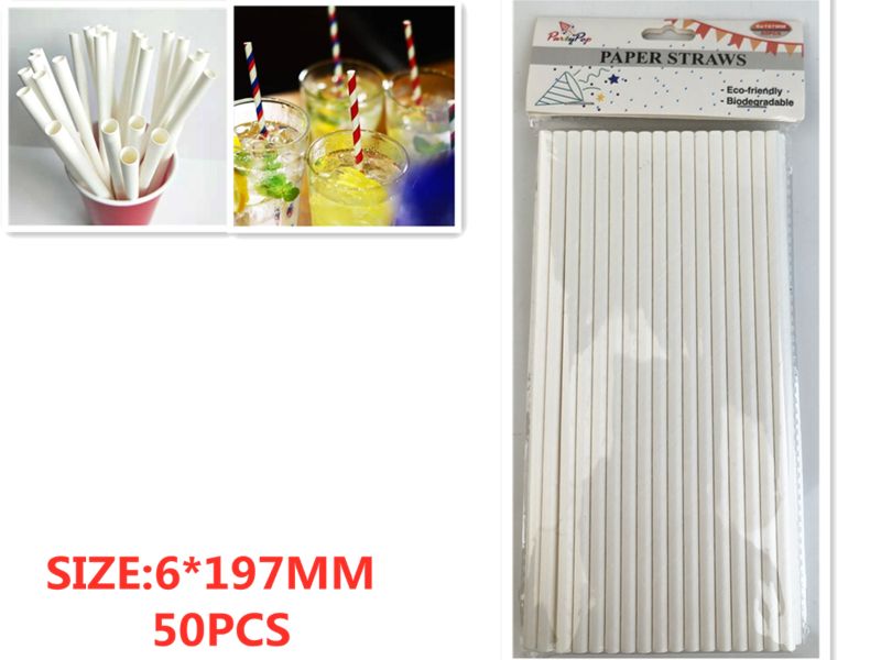 PAPER STRAW - White (12 Packs)