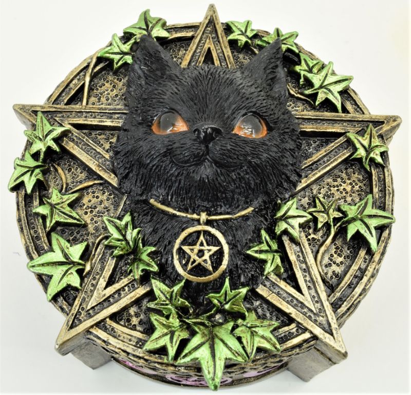 Box - Black Cat (11.6cm)