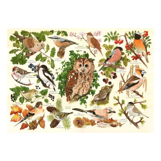 Woodland Birds - Big 500 Piece Puzzle - House of Puzzles
