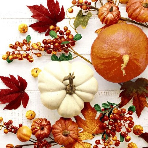 Cocktail Napkin -Pumpkin & Leaves
