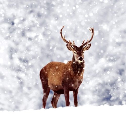 Luncheon Napkin - Winter Deer