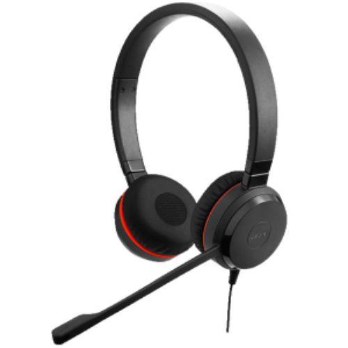 EVOLVE 30 Stereo Ver 2 Headset - High-Quality Audio for Professionals and Gamers