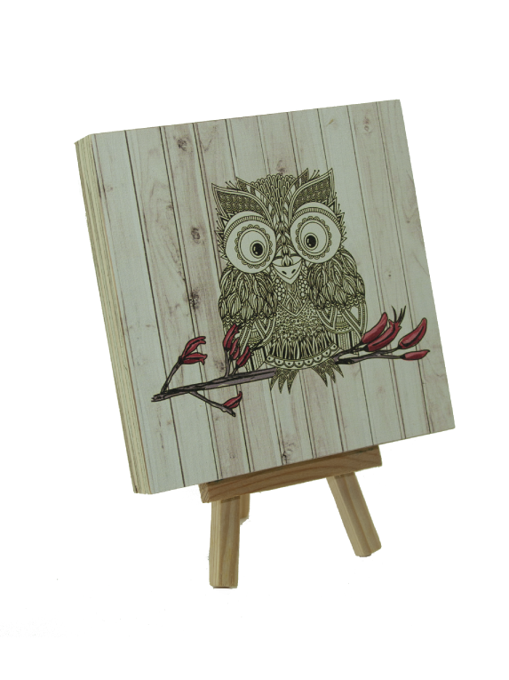 Light wood Art Block featuring vibrant Morepork print on eco-friendly plywood, ready to hang for stylish decor.