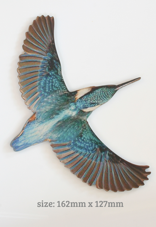 Printed ACM Kingfisher / Bird Set - Wall Art