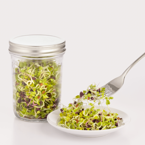 Sprouting Set - Kilner (500ml)