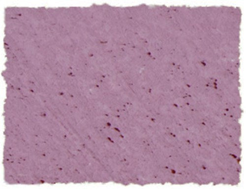 AS SQUARE PASTEL VIOLET A