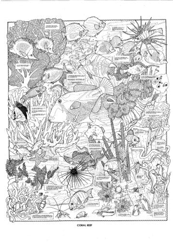 Vibrant pack of 10 Coral Reef doodle art posters, perfect for creative fun for all ages, measuring 45 x 65 cm.