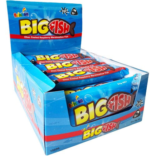 Rainbow Big Fish 50g ( 20 Pack )