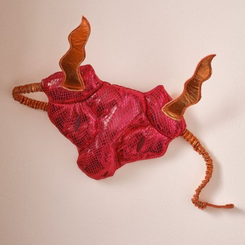 Fancy Dress Dragon Red Mask